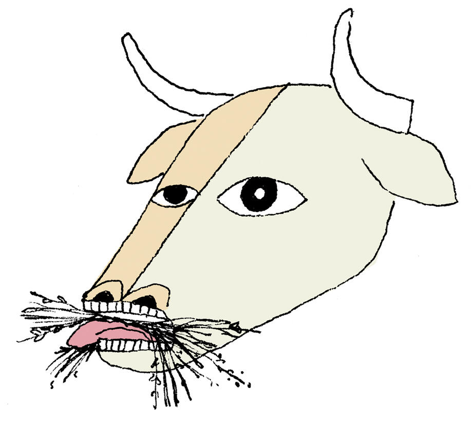 Illustoria (2019–2025)