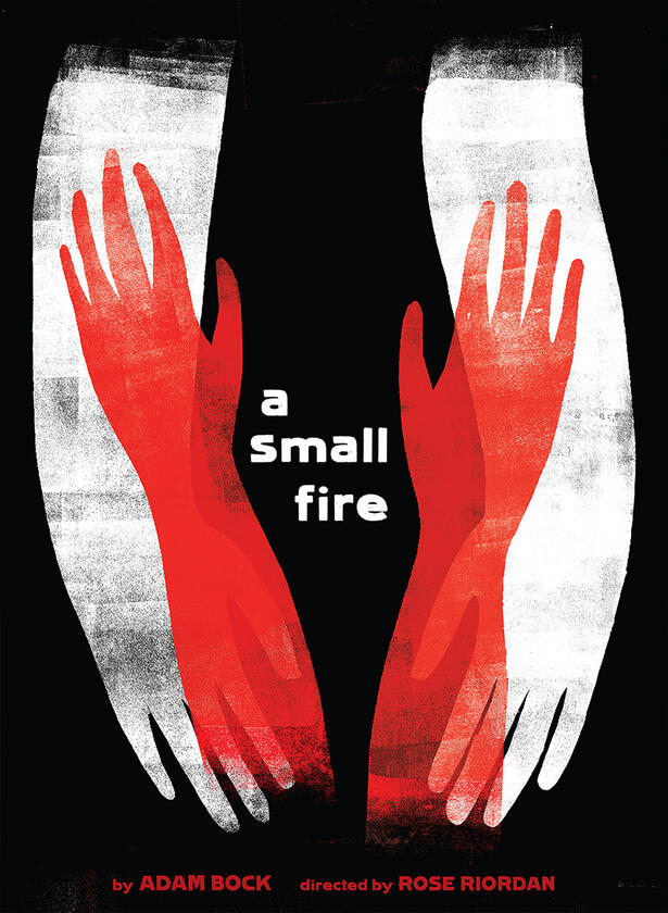 A Small Fire by Julia McNamara (2013)